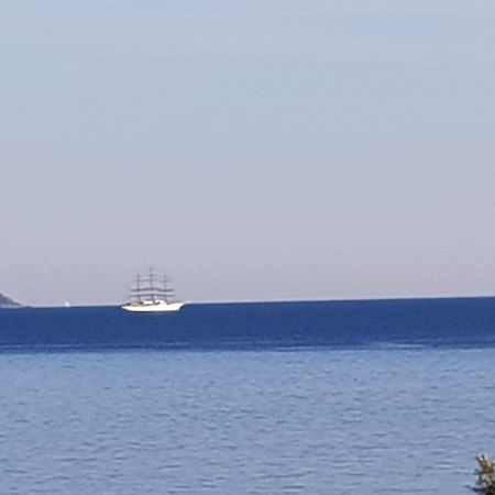 Vieille Ville D Ajaccio De 1 A 4 Pers A 300M Du Port Et A 15 Mn De Laeroport Proches De Plus Belles Plages Et Ttes Commodites A Proximite מראה חיצוני תמונה