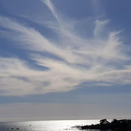 Vieille Ville D Ajaccio De 1 A 4 Pers A 300M Du Port Et A 15 Mn De Laeroport Proches De Plus Belles Plages Et Ttes Commodites A Proximite מראה חיצוני תמונה
