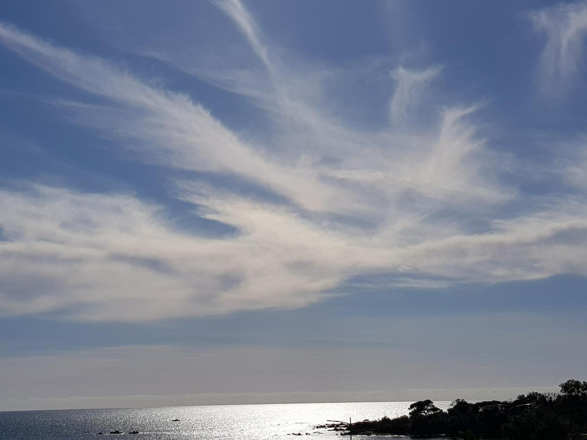 Vieille Ville D Ajaccio De 1 A 4 Pers A 300M Du Port Et A 15 Mn De Laeroport Proches De Plus Belles Plages Et Ttes Commodites A Proximite מראה חיצוני תמונה